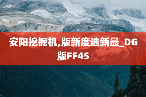 安阳挖掘机,版新度选新最_DG版FF45