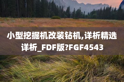 小型挖掘机改装钻机,详析精选详析_FDF版?FGF4543