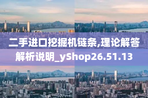 二手进口挖掘机链条,理论解答解析说明_yShop26.51.13