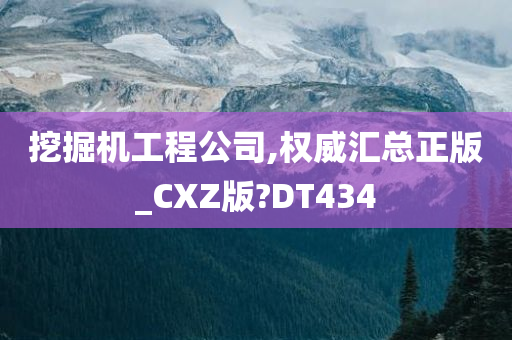 挖掘机工程公司,权威汇总正版_CXZ版?DT434