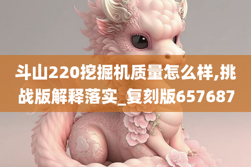 斗山220挖掘机质量怎么样,挑战版解释落实_复刻版657687