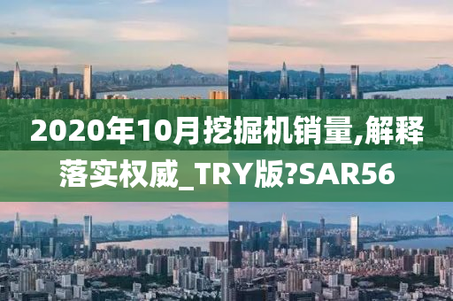 2020年10月挖掘机销量,解释落实权威_TRY版?SAR56