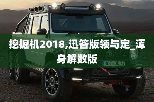 挖掘机2018,迅答版领与定_浑身解数版