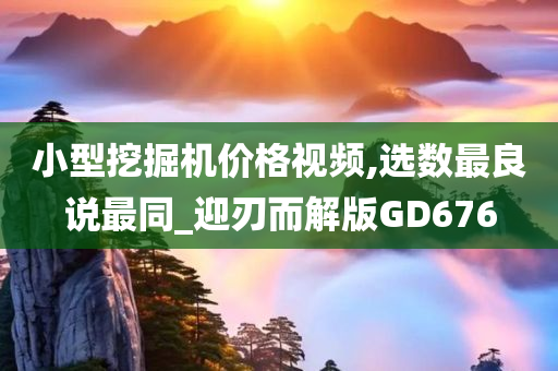 小型挖掘机价格视频,选数最良说最同_迎刃而解版GD676