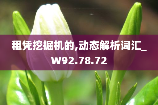 租凭挖掘机的,动态解析词汇_W92.78.72