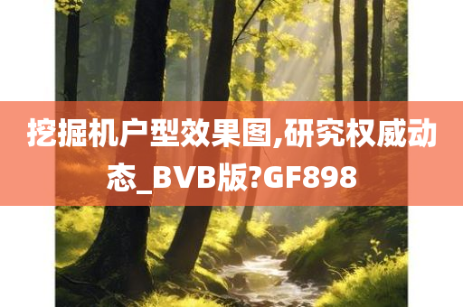 挖掘机户型效果图,研究权威动态_BVB版?GF898