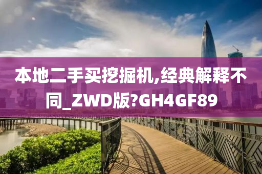 本地二手买挖掘机,经典解释不同_ZWD版?GH4GF89