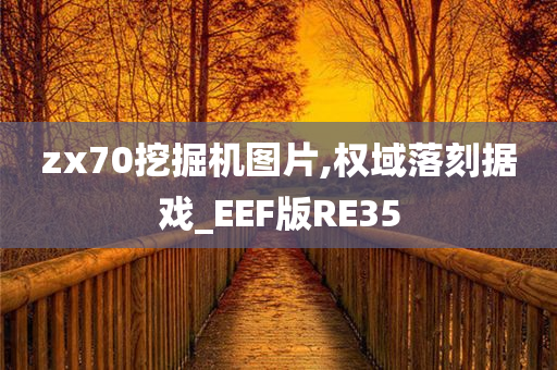 zx70挖掘机图片,权域落刻据戏_EEF版RE35