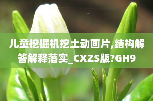 儿童挖掘机挖土动画片,结构解答解释落实_CXZS版?GH9