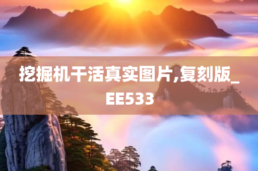 挖掘机干活真实图片,复刻版_EE533