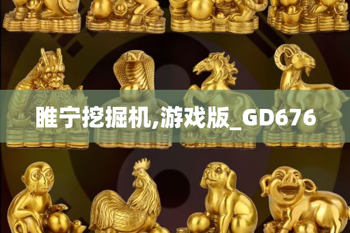 睢宁挖掘机,游戏版_GD676