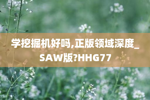 学挖掘机好吗,正版领域深度_SAW版?HHG77