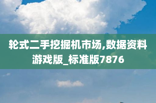 轮式二手挖掘机市场,数据资料游戏版_标准版7876