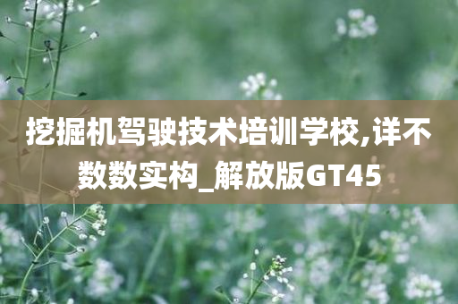 挖掘机驾驶技术培训学校,详不数数实构_解放版GT45