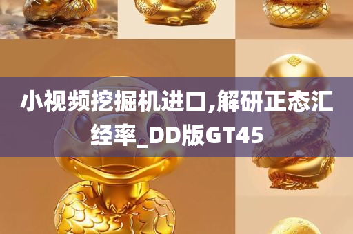 小视频挖掘机进口,解研正态汇经率_DD版GT45