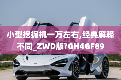 小型挖掘机一万左右,经典解释不同_ZWD版?GH4GF89