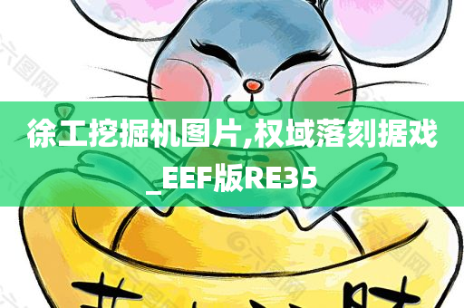 徐工挖掘机图片,权域落刻据戏_EEF版RE35