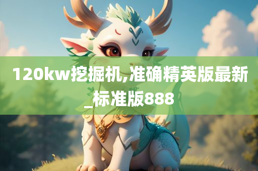 120kw挖掘机,准确精英版最新_标准版888