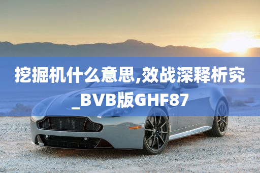 挖掘机什么意思,效战深释析究_BVB版GHF87