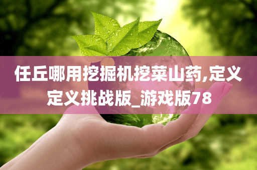 任丘哪用挖掘机挖菜山药,定义定义挑战版_游戏版78