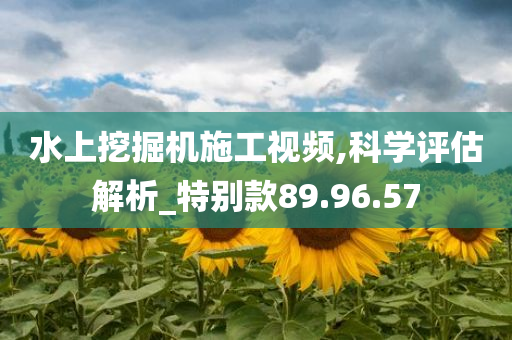 水上挖掘机施工视频,科学评估解析_特别款89.96.57