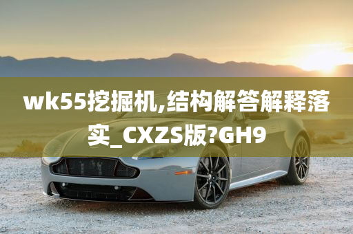 wk55挖掘机,结构解答解释落实_CXZS版?GH9