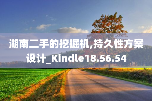 湖南二手的挖掘机,持久性方案设计_Kindle18.56.54