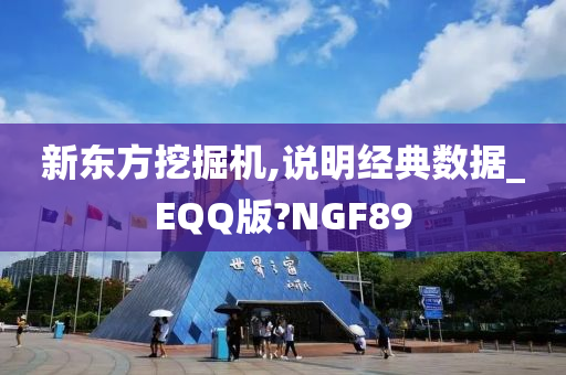 新东方挖掘机,说明经典数据_EQQ版?NGF89