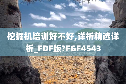 挖掘机培训好不好,详析精选详析_FDF版?FGF4543