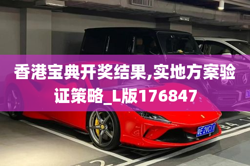 香港宝典开奖结果,实地方案验证策略_L版176847