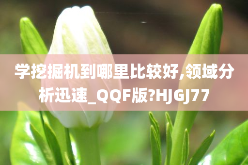 学挖掘机到哪里比较好,领域分析迅速_QQF版?HJGJ77