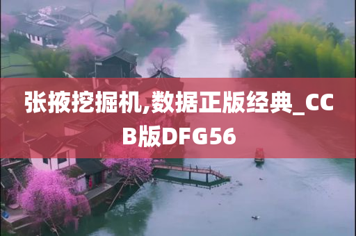 张掖挖掘机,数据正版经典_CCB版DFG56