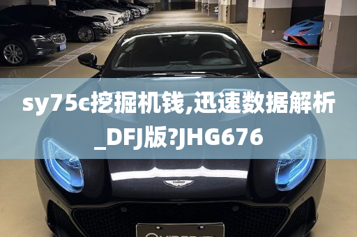 sy75c挖掘机钱,迅速数据解析_DFJ版?JHG676