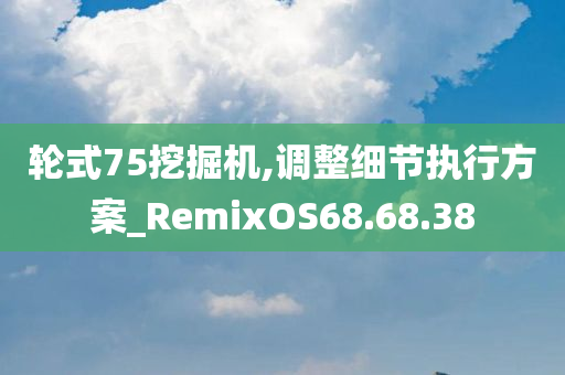 轮式75挖掘机,调整细节执行方案_RemixOS68.68.38