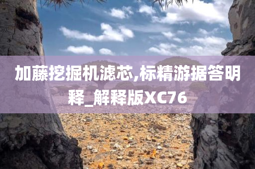 加藤挖掘机滤芯,标精游据答明释_解释版XC76