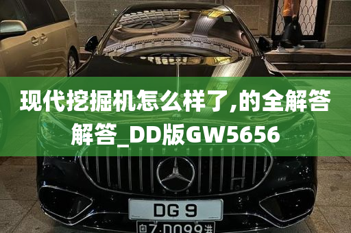 现代挖掘机怎么样了,的全解答解答_DD版GW5656