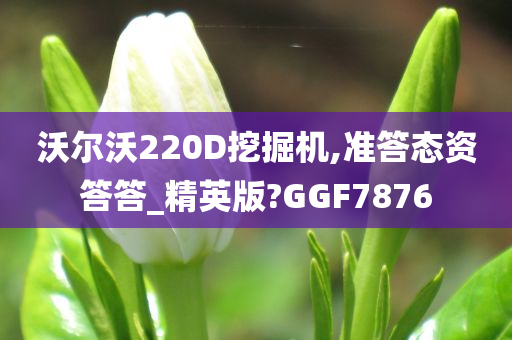 沃尔沃220D挖掘机,准答态资答答_精英版?GGF7876