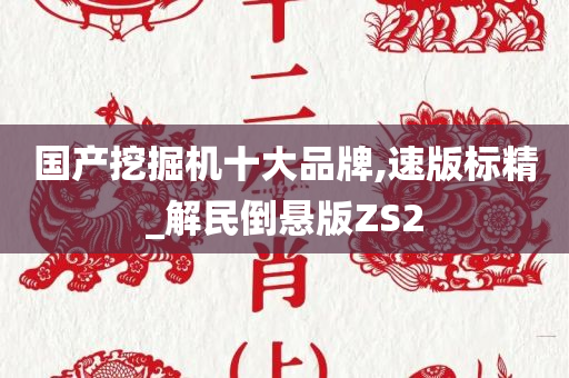 国产挖掘机十大品牌,速版标精_解民倒悬版ZS2