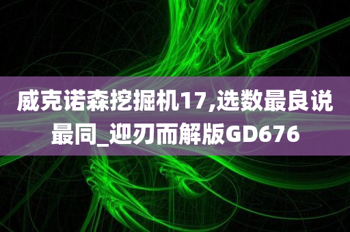 威克诺森挖掘机17,选数最良说最同_迎刃而解版GD676