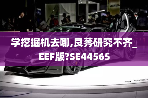 学挖掘机去哪,良莠研究不齐_EEF版?SE44565