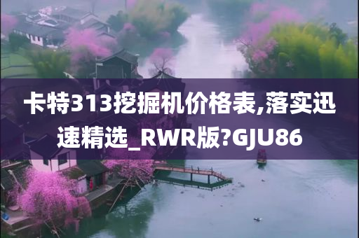 卡特313挖掘机价格表,落实迅速精选_RWR版?GJU86