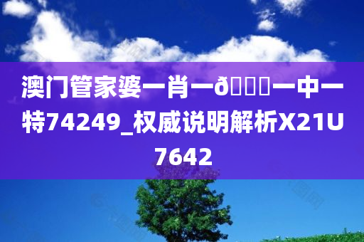 澳门管家婆一肖一🐎一中一特74249_权威说明解析X21U7642