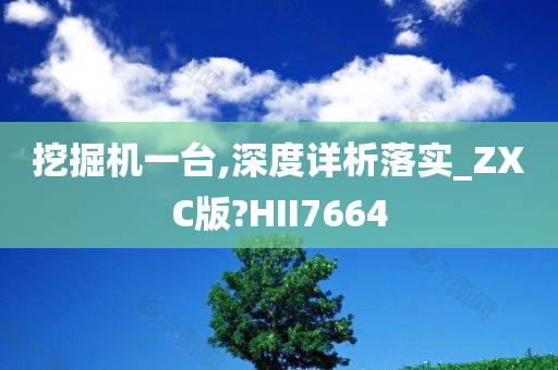 挖掘机一台,深度详析落实_ZXC版?HII7664