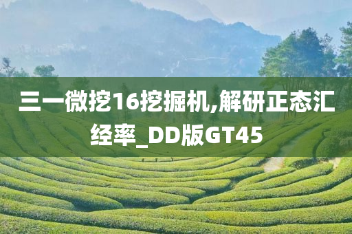 三一微挖16挖掘机,解研正态汇经率_DD版GT45