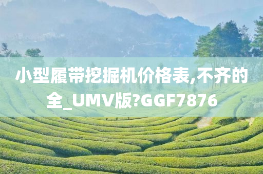 小型履带挖掘机价格表,不齐的全_UMV版?GGF7876