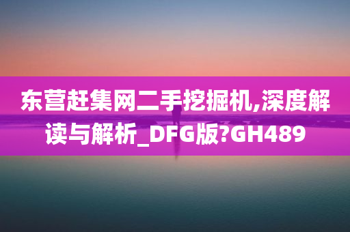 东营赶集网二手挖掘机,深度解读与解析_DFG版?GH489