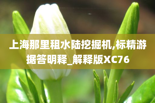 上海那里租水陆挖掘机,标精游据答明释_解释版XC76