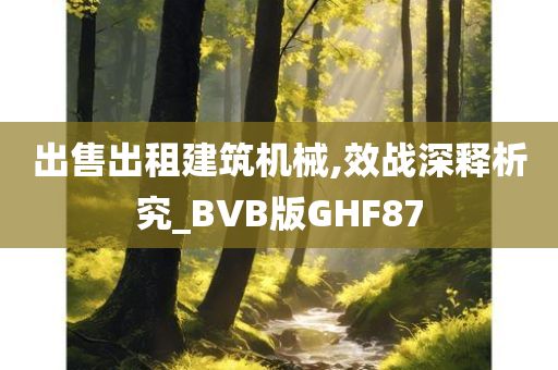 出售出租建筑机械,效战深释析究_BVB版GHF87