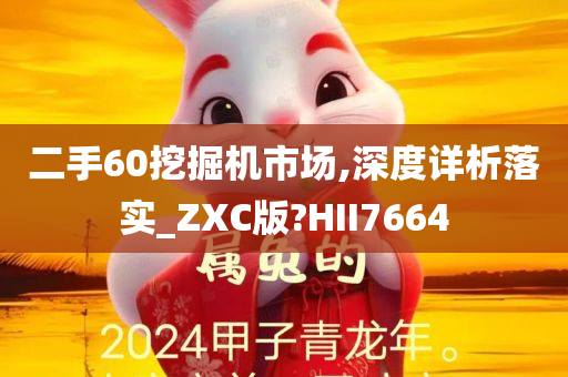 二手60挖掘机市场,深度详析落实_ZXC版?HII7664