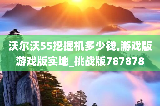 沃尔沃55挖掘机多少钱,游戏版游戏版实地_挑战版787878